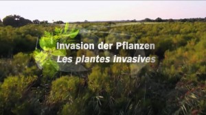 Film Les plantes invasives
